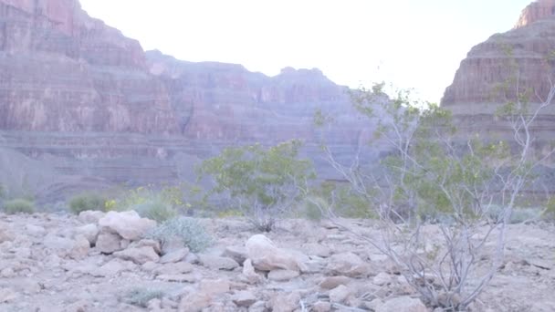 Pohled od země v Grand Canyon — Stock video