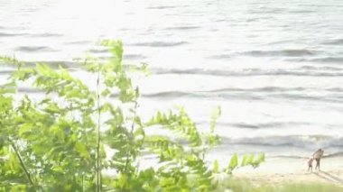 Yaz saati sırasında göl kıyısında günbatımı
