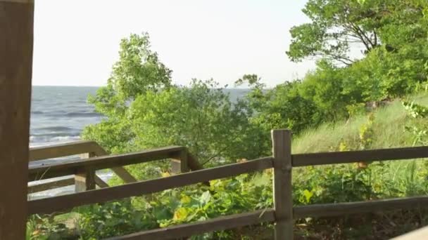 Zachód słońca wzdłuż brzegu jeziora w okresie letnim — Wideo stockowe