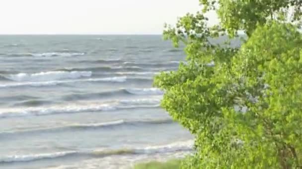여름 시간 동안 호수 해안 따라 석양 — 비디오