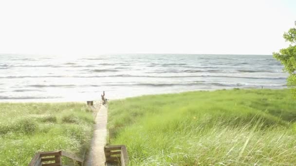 夏の間湖の岸に沿ってサンセット — ストック動画