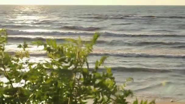 Sunset längs sjöstranden under sommaren — Stockvideo