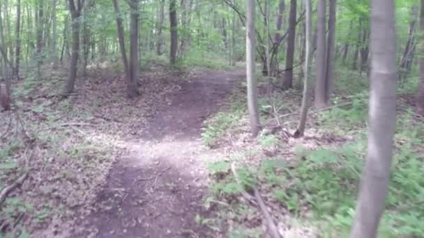 Caminar o hacer ejercicio a lo largo del camino de tierra en el bosque — Vídeos de Stock