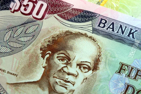 Moneda de Jamaica - Banca y estabilidad económica —  Fotos de Stock