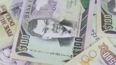 Jamaika para - banka ve ekonomik istikrar kavramı