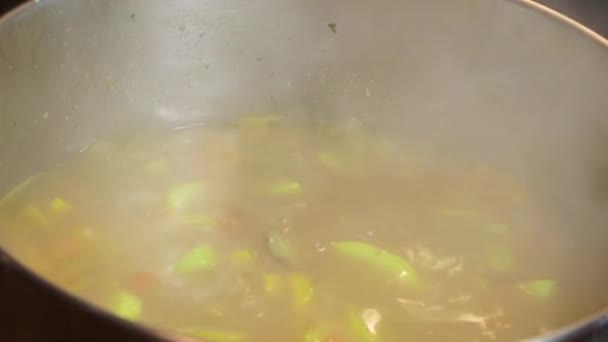 Paslanmaz çelik tencerede pişirme çorba — Stok video