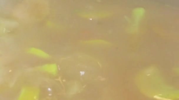 스테인리스 냄비에 요리 하는 수프 — 비디오