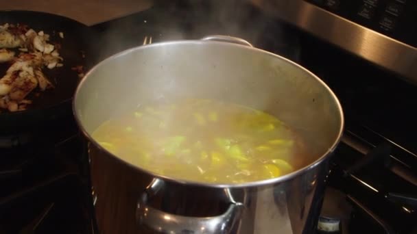 Σούπα μαγείρεμα σε κατσαρόλα από ανοξείδωτο χάλυβα — Αρχείο Βίντεο