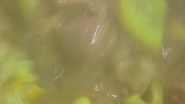 Sopa de cocina en olla de acero inoxidable — Vídeo de stock