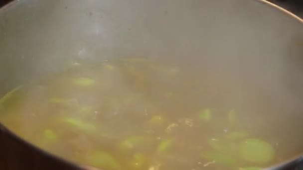 Soppa matlagning i rostfritt stål pott — Stockvideo