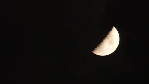 Cielo di sera scuro con nuvole che si muovono oltre una mezza luna — Video Stock