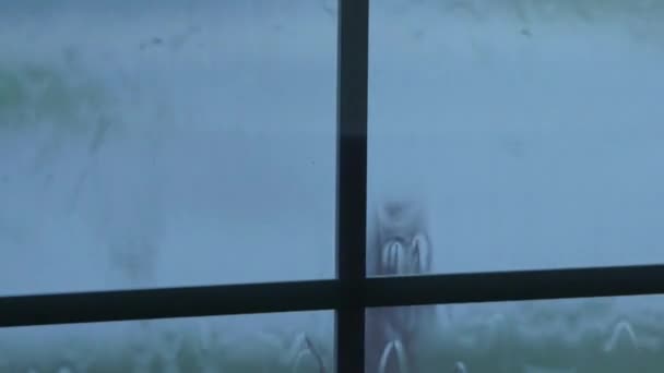 Σταγόνες βροχής που ρέει κάτω από το γυαλί παραθύρων — Αρχείο Βίντεο