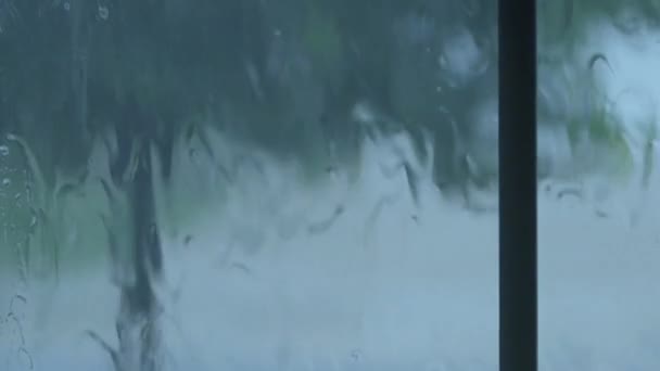 Regnet droppar rinner ner fönsterglas — Stockvideo