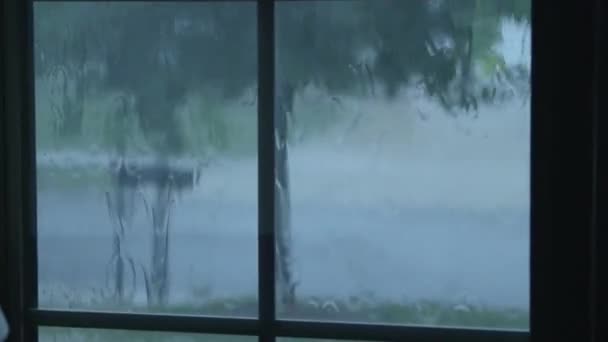 Regnet droppar rinner ner fönsterglas — Stockvideo