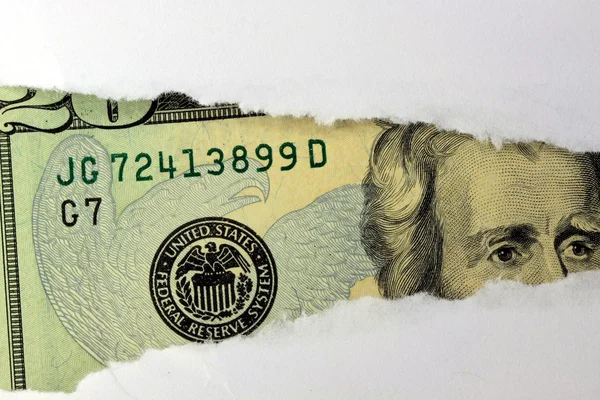 Estados Unidos Moeda Twenty Dollar Bill - Conceito de segurança financeira — Fotografia de Stock