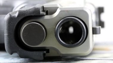 Bize el silah - doğru tutmak ve silah ayı ile Anayasa