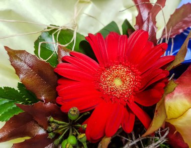 Çiçekli gelin buketi.