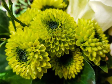 Çiçekli gelin buketi.