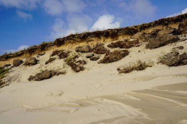 Blavand Danimarka 'nın kuzey denizindeki uçsuz bucaksız plajın izleri.