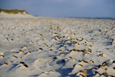Blavand Danimarka 'nın kuzey denizindeki uçsuz bucaksız plajın izleri.