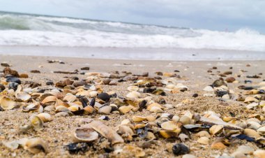 Blavand Danimarka 'nın kuzey denizindeki uçsuz bucaksız plajın izleri.