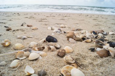 Blavand Danimarka 'nın kuzey denizindeki uçsuz bucaksız plajın izleri.