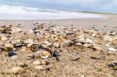 Blavand Danimarka 'nın kuzey denizindeki uçsuz bucaksız plajın izleri.
