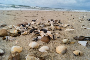Blavand Danimarka 'nın kuzey denizindeki uçsuz bucaksız plajın izleri.
