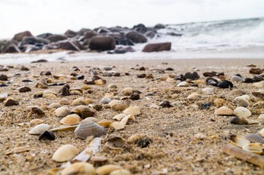 Blavand Danimarka 'nın kuzey denizindeki uçsuz bucaksız plajın izleri.