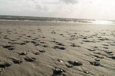 Blavand Danimarka 'nın kuzey denizindeki uçsuz bucaksız plajın izleri.