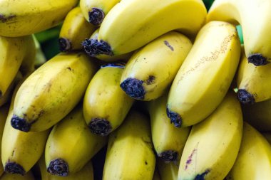 Muzlar Madeira Adası 'nda bir çiftlikte