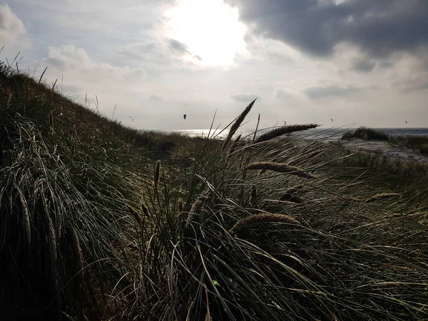 Indrukken Van Het Eindeloze Strand Aan Noordelijke Zee Blavand Denemarken — Stockfoto