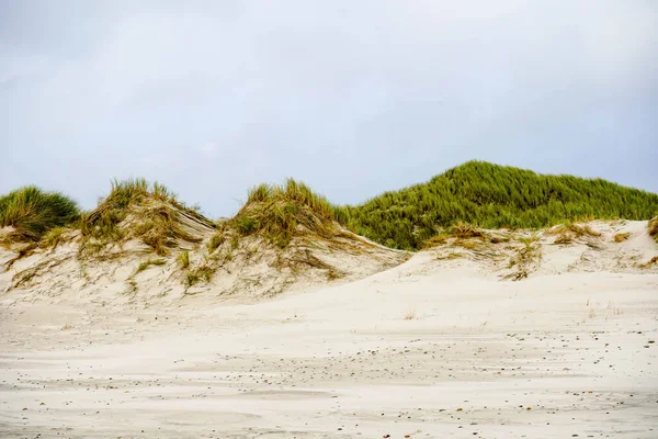 Impressionen Vom Endlosen Strand Nordmeer Blavand Dänemark — Stockfoto