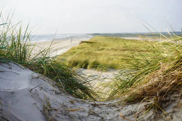 Impressionen Vom Endlosen Strand Nordmeer Blavand Dänemark — Stockfoto