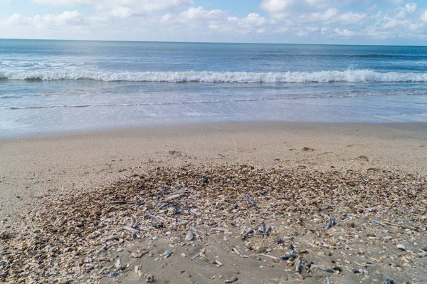 Impressões Praia Interminável Mar Norte Blavand Dinamarca — Fotografia de Stock