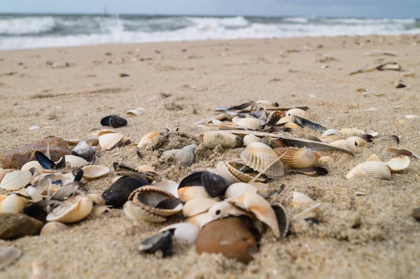 Blavand Danimarka 'nın kuzey denizindeki uçsuz bucaksız plajın izleri.