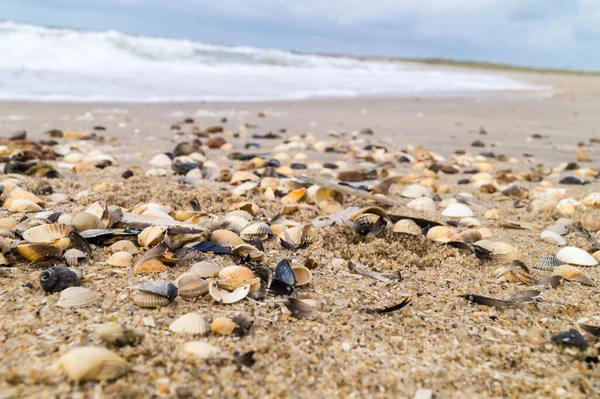 Blavand Danimarka 'nın kuzey denizindeki uçsuz bucaksız plajın izleri.