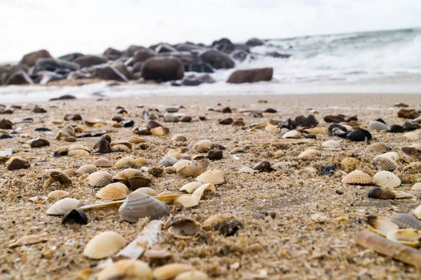 Blavand Danimarka 'nın kuzey denizindeki uçsuz bucaksız plajın izleri.