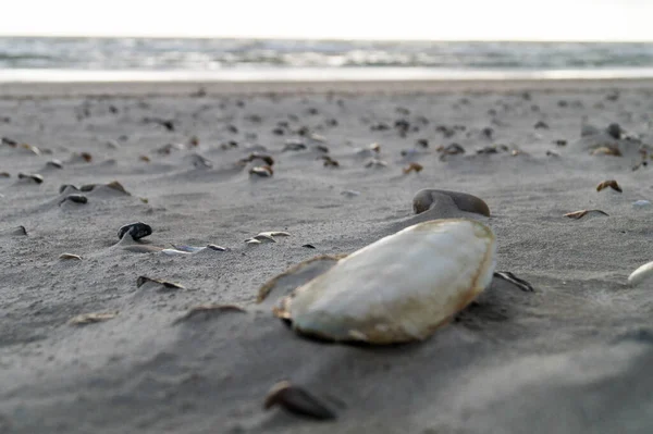 Impressões Praia Interminável Mar Norte Blavand Dinamarca — Fotografia de Stock