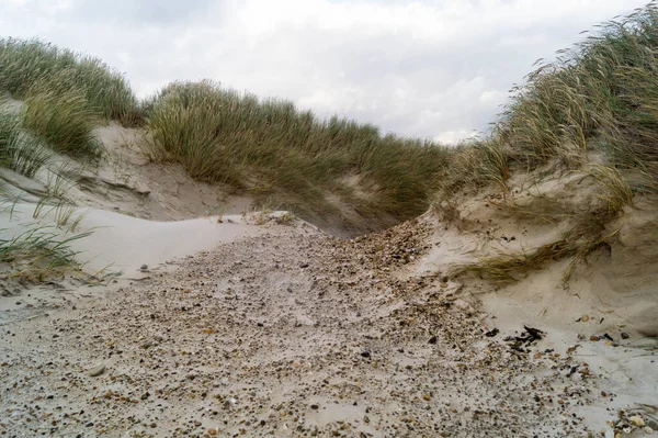 Impressões Praia Interminável Mar Norte Blavand Dinamarca — Fotografia de Stock