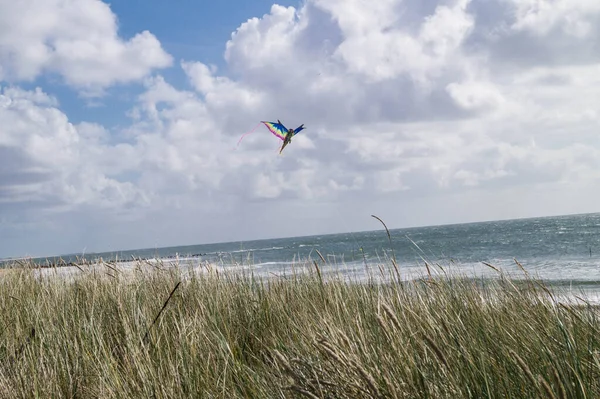 Impressões Praia Interminável Mar Norte Blavand Dinamarca — Fotografia de Stock