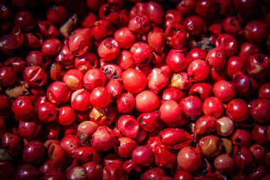 Farklı türde biber.