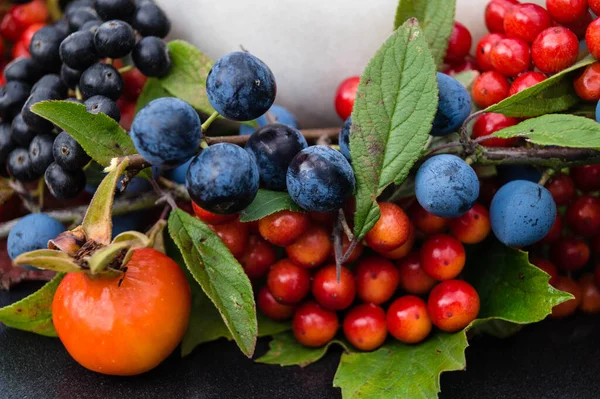 Different Berries Colourful Healthy — Stock Photo, Image