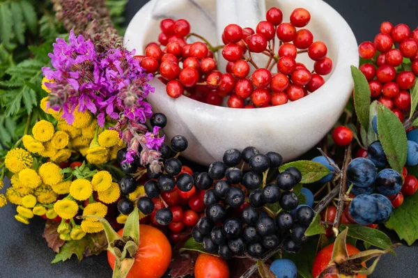 Different Berries Colourful Healthy — Stock Photo, Image