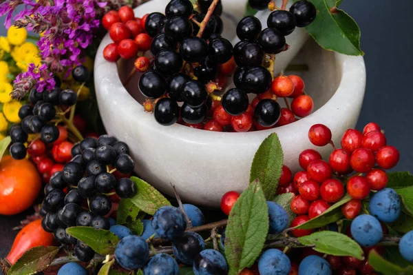 Different Berries Colourful Healthy — Stock Photo, Image