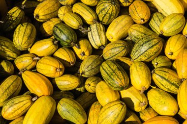 Çiftçi pazarında balkabakları