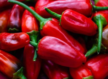 kırmızı Macaristan Paprika tatlı veya baharatlı