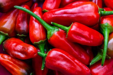 kırmızı Macaristan Paprika tatlı veya baharatlı