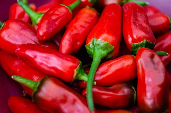 Vermelho Hungria Páprica Doce Picante — Fotografia de Stock