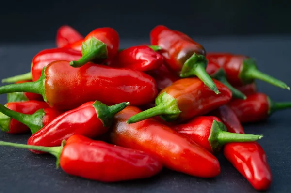 Hungría Roja Paprika Dulce Picante — Foto de Stock